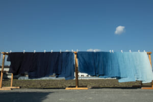 藍と共に暮らす日常。<br> 徳島が描く“ジャパンブルー”の<br>新たなストーリー。